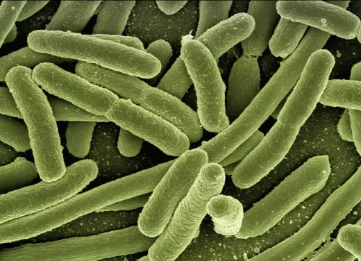 9 alimenti che rinforzano il sistema immunitario da incorporare nella tua dieta